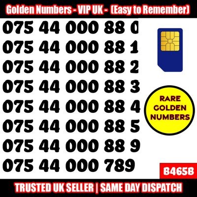 GOLD EASY MOBILE NUMBER MEMORABLE PLATINUM VIP UK PAY AS YOU GO SIM LOT B465B