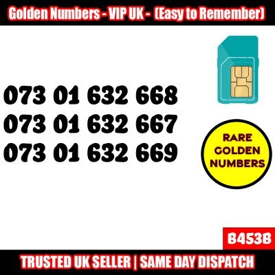 19 x Serial Golden EE Network Easy VIP Mobile Number – Best For Company/Business- B453B