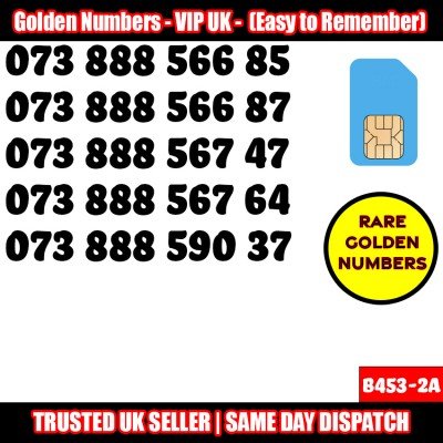 GOLD EASY MOBILE NUMBER MEMORABLE PLATINUM VIP UK PAY AS YOU GO SIM LOT B453-2A