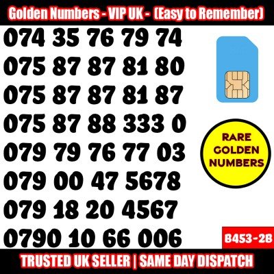 GOLD EASY MOBILE NUMBER MEMORABLE PLATINUM VIP UK PAY AS YOU GO SIM LOT B453-2B