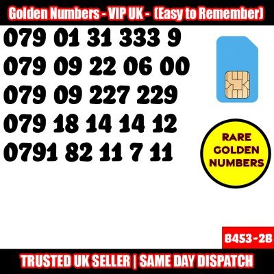 GOLD EASY MOBILE NUMBER MEMORABLE PLATINUM VIP UK PAY AS YOU GO SIM LOT B453-2B