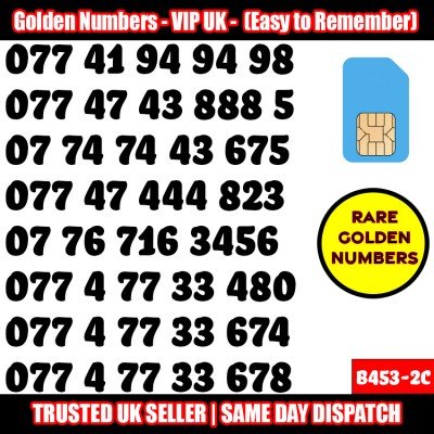 GOLD EASY MOBILE NUMBER MEMORABLE PLATINUM VIP UK PAY AS YOU GO SIM LOT B453-2C