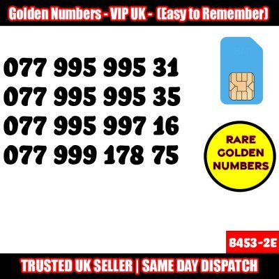 GOLD EASY MOBILE NUMBER MEMORABLE PLATINUM VIP UK PAY AS YOU GO SIM LOT B453-2E