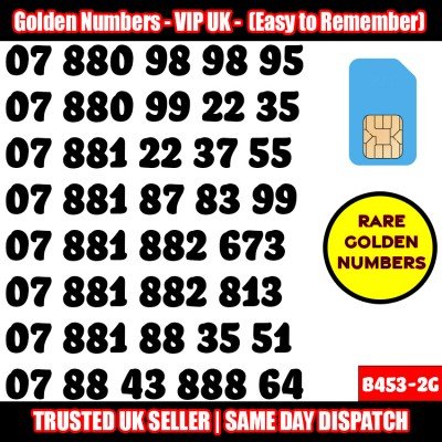 GOLD EASY MOBILE NUMBER MEMORABLE PLATINUM VIP UK PAY AS YOU GO SIM LOT B453-2G