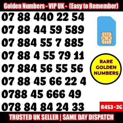 GOLD EASY MOBILE NUMBER MEMORABLE PLATINUM VIP UK PAY AS YOU GO SIM LOT B453-2G