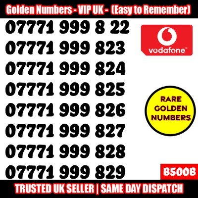 GOLD EASY MOBILE NUMBER MEMORABLE PLATINUM VIP UK PAY AS YOU GO SIM LOT B500B