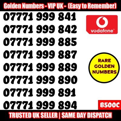 GOLD EASY MOBILE NUMBER MEMORABLE PLATINUM VIP UK PAY AS YOU GO SIM LOT B500C