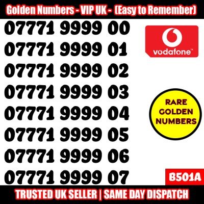 GOLD EASY MOBILE NUMBER MEMORABLE PLATINUM VIP UK PAY AS YOU GO SIM LOT B501A