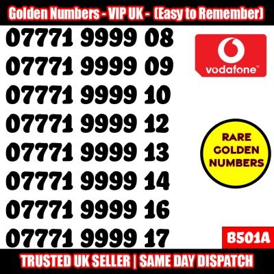 GOLD EASY MOBILE NUMBER MEMORABLE PLATINUM VIP UK PAY AS YOU GO SIM LOT B501A