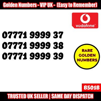 GOLD EASY MOBILE NUMBER MEMORABLE PLATINUM VIP UK PAY AS YOU GO SIM LOT B501B