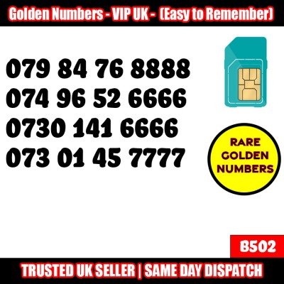 GOLD EASY MOBILE NUMBER MEMORABLE PLATINUM VIP UK PAY AS YOU GO SIM LOT B502