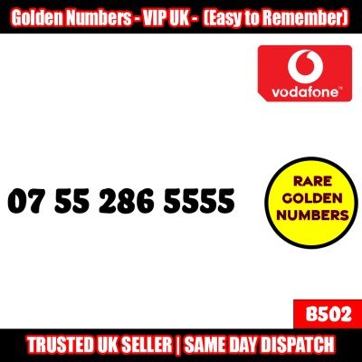 GOLD EASY MOBILE NUMBER MEMORABLE PLATINUM VIP UK PAY AS YOU GO SIM LOT B502