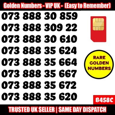 GOLD EASY MOBILE NUMBER MEMORABLE PLATINUM VIP UK PAY AS YOU GO SIM LOT B458C