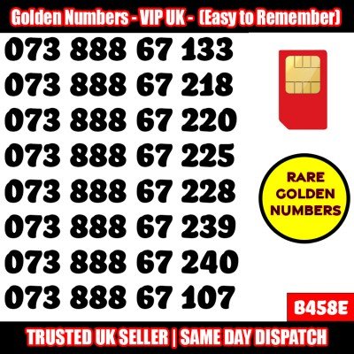 GOLD EASY MOBILE NUMBER MEMORABLE PLATINUM VIP UK PAY AS YOU GO SIM LOT B458E