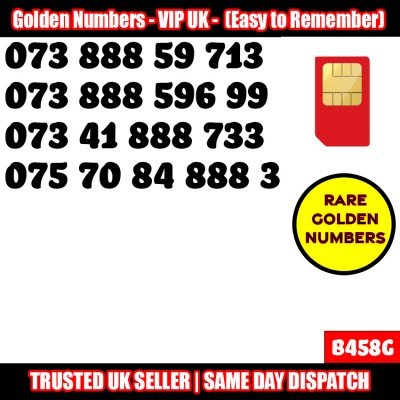 GOLD EASY MOBILE NUMBER MEMORABLE PLATINUM VIP UK PAY AS YOU GO SIM LOT B458G