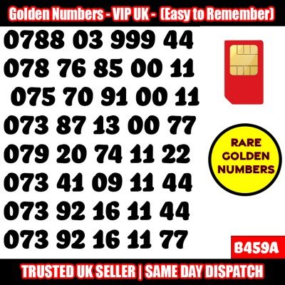 GOLD EASY MOBILE NUMBER MEMORABLE PLATINUM VIP UK PAY AS YOU GO SIM LOT B459A