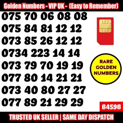 GOLD EASY MOBILE NUMBER MEMORABLE PLATINUM VIP UK PAY AS YOU GO SIM LOT B459B