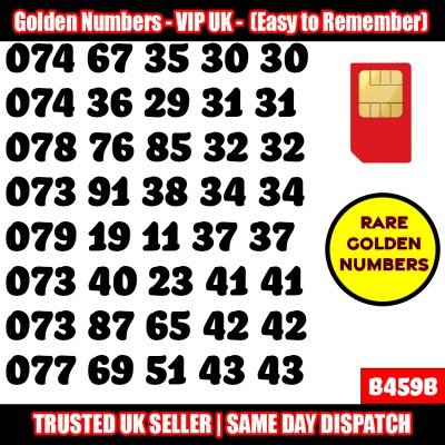 GOLD EASY MOBILE NUMBER MEMORABLE PLATINUM VIP UK PAY AS YOU GO SIM LOT B459B