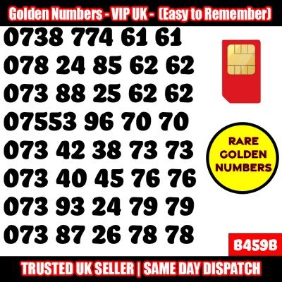 GOLD EASY MOBILE NUMBER MEMORABLE PLATINUM VIP UK PAY AS YOU GO SIM LOT B459B