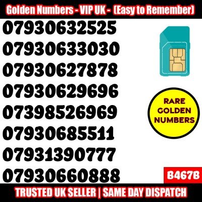 GOLD EASY MOBILE NUMBER MEMORABLE PLATINUM VIP UK PAY AS YOU GO SIM LOT B467B