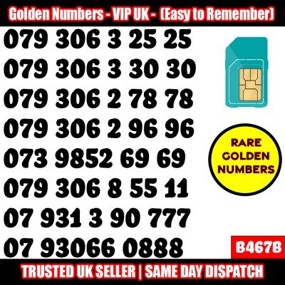 GOLD EASY MOBILE NUMBER MEMORABLE PLATINUM VIP UK PAY AS YOU GO SIM LOT B467B