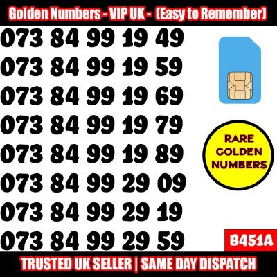 GOLD EASY MOBILE NUMBER MEMORABLE PLATINUM VIP UK PAY AS YOU GO SIM LOT B451A