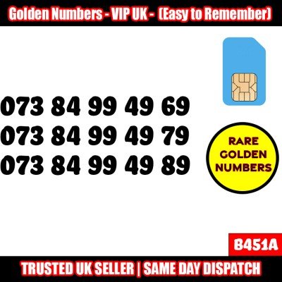 GOLD EASY MOBILE NUMBER MEMORABLE PLATINUM VIP UK PAY AS YOU GO SIM LOT B451A