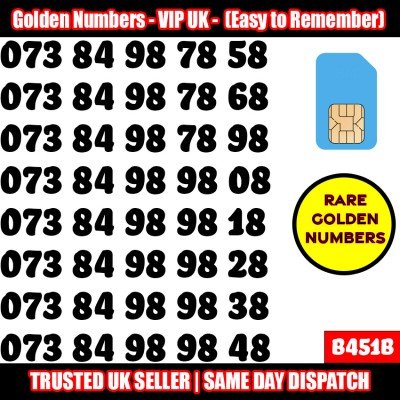 GOLD EASY MOBILE NUMBER MEMORABLE PLATINUM VIP UK PAY AS YOU GO SIM LOT B451B