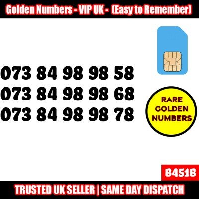 GOLD EASY MOBILE NUMBER MEMORABLE PLATINUM VIP UK PAY AS YOU GO SIM LOT B451B