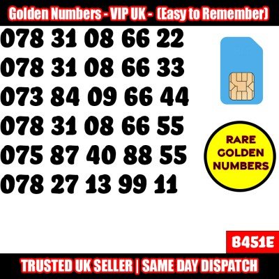 GOLD EASY MOBILE NUMBER MEMORABLE PLATINUM VIP UK PAY AS YOU GO SIM LOT B451E