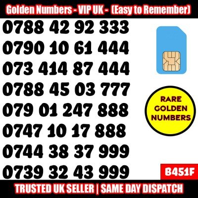 GOLD EASY MOBILE NUMBER MEMORABLE PLATINUM VIP UK PAY AS YOU GO SIM LOT B451F