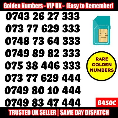 GOLD EASY MOBILE NUMBER MEMORABLE PLATINUM VIP UK PAY AS YOU GO SIM LOT B450C