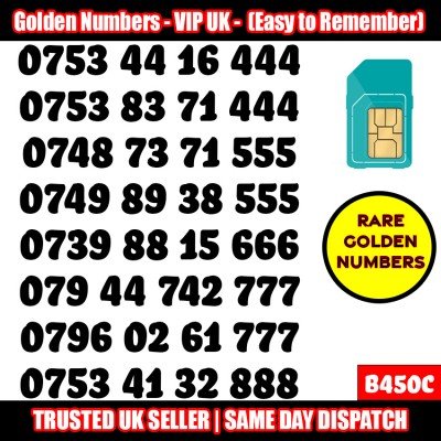 GOLD EASY MOBILE NUMBER MEMORABLE PLATINUM VIP UK PAY AS YOU GO SIM LOT B450C