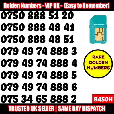 GOLD EASY MOBILE NUMBER MEMORABLE PLATINUM VIP UK PAY AS YOU GO SIM LOT B450H