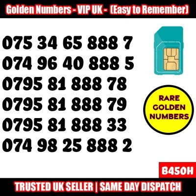 GOLD EASY MOBILE NUMBER MEMORABLE PLATINUM VIP UK PAY AS YOU GO SIM LOT B450H