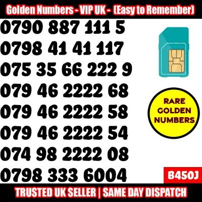 GOLD EASY MOBILE NUMBER MEMORABLE PLATINUM VIP UK PAY AS YOU GO SIM LOT B450J