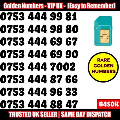 GOLD EASY MOBILE NUMBER MEMORABLE PLATINUM VIP UK PAY AS YOU GO SIM LOT B450K