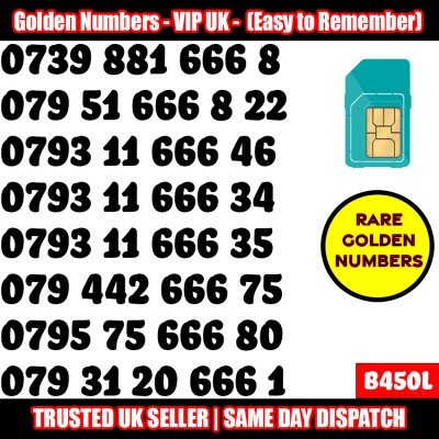 GOLD EASY MOBILE NUMBER MEMORABLE PLATINUM VIP UK PAY AS YOU GO SIM LOT B450L