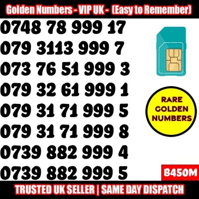 GOLD EASY MOBILE NUMBER MEMORABLE PLATINUM VIP UK PAY AS YOU GO SIM LOT B450M