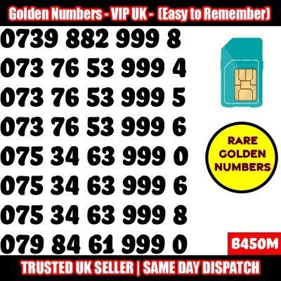 GOLD EASY MOBILE NUMBER MEMORABLE PLATINUM VIP UK PAY AS YOU GO SIM LOT B450M