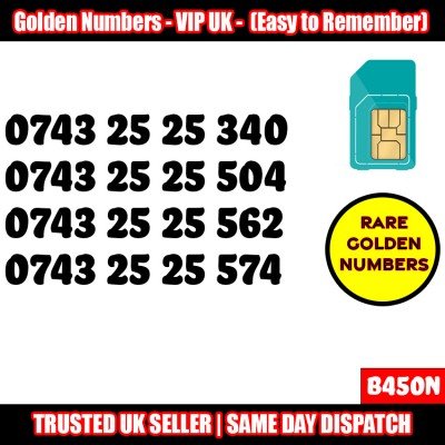 GOLD EASY MOBILE NUMBER MEMORABLE PLATINUM VIP UK PAY AS YOU GO SIM LOT B450N