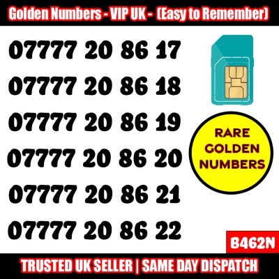 GOLD EASY MOBILE NUMBER MEMORABLE PLATINUM VIP UK PAY AS YOU GO SIM LOT - B462N