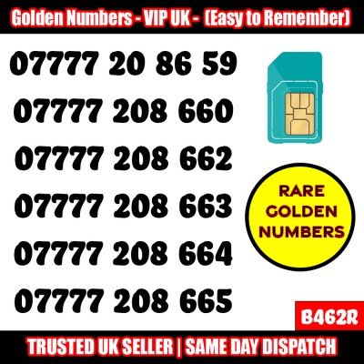 GOLD EASY MOBILE NUMBER MEMORABLE PLATINUM VIP UK PAY AS YOU GO SIM LOT - B462R