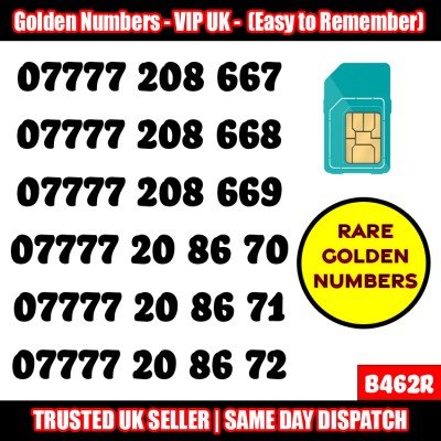 GOLD EASY MOBILE NUMBER MEMORABLE PLATINUM VIP UK PAY AS YOU GO SIM LOT - B462R