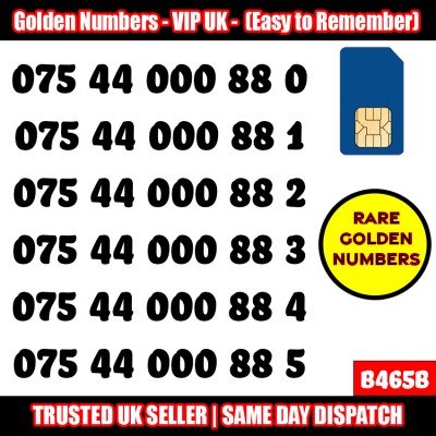 GOLD EASY MOBILE NUMBER MEMORABLE PLATINUM VIP UK PAY AS YOU GO SIM LOT - B465B