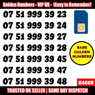 GOLD EASY MOBILE NUMBER MEMORABLE PLATINUM VIP UK PAY AS YOU GO SIM LOT - B466B