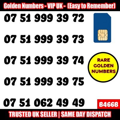 GOLD EASY MOBILE NUMBER MEMORABLE PLATINUM VIP UK PAY AS YOU GO SIM LOT - B466B